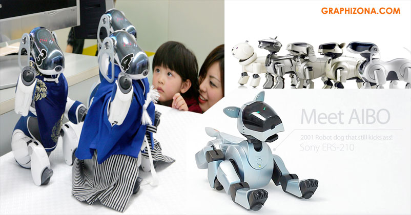 sony pet project aibo